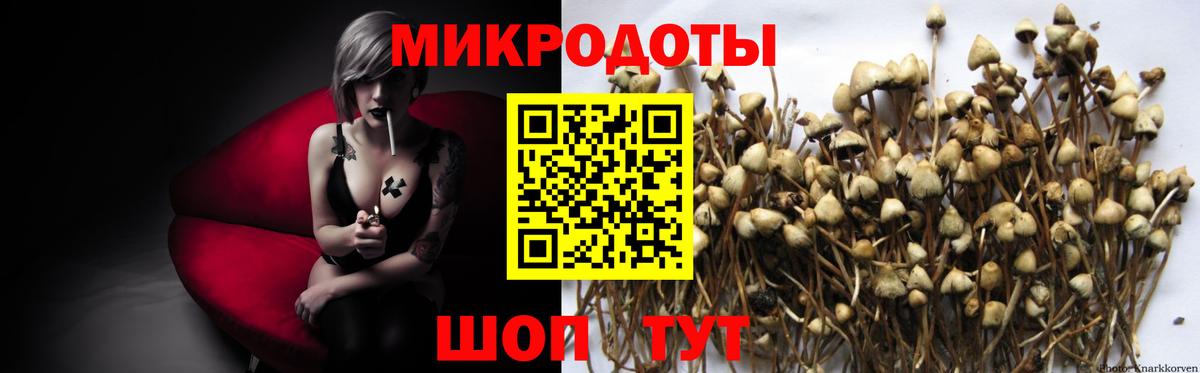 Псилоцибиновые грибы мухоморы Менделеевск